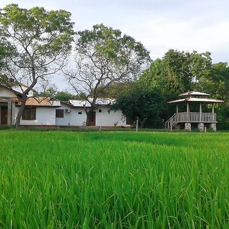 Willpattu Wild Watch Hotel Habawewa ภายนอก รูปภาพ