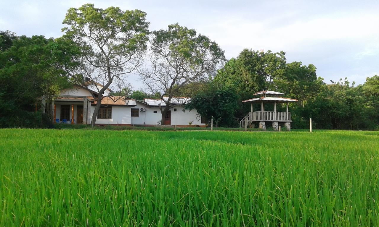 Willpattu Wild Watch Hotel Habawewa ภายนอก รูปภาพ