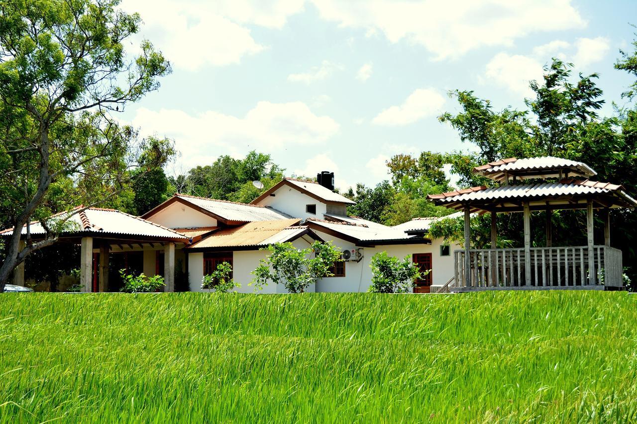 Willpattu Wild Watch Hotel Habawewa ภายนอก รูปภาพ